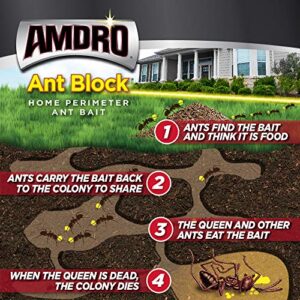 Amdro 100099307 Block Home Perimeter Ant Bait Granules, 12 Ounces