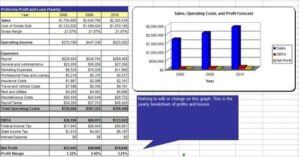 gift basket company business plan - ms word/excel