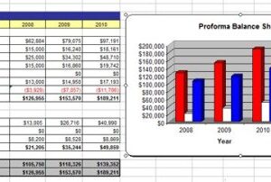 Gift Basket Company Business Plan - MS Word/Excel