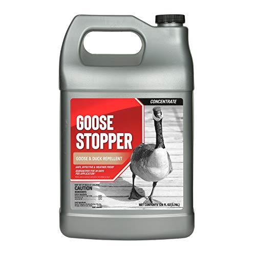 Messina Wildlife Goose Stopper Repellent - Safe & Effective, All Natural Food Grade Ingredients; Repels Geese and Ducks; Easy to Use, 1 Gallon Liquid Concentrate