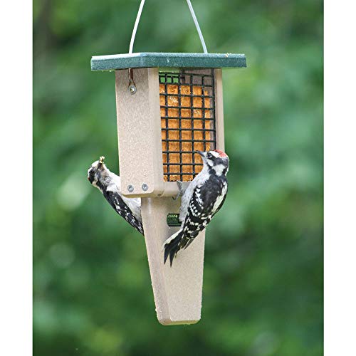 Birds Choice SNTP Recycled Single Cake Tail Prop Suet Feeder, 1 Suet Cake, 8"L X 3"W Xv12"H, Taupe Base w/ Green Roof