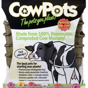 CowPots CP4-12 Square, 4-Inch (12 Pack), Brown