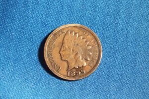 1899 u.s. indian head cent / penny