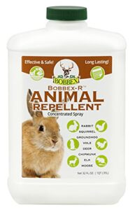 bobbex concentrated animal repellent rabbit, squirrel, and chipmunk repeller concentrate (32 oz.) b550120