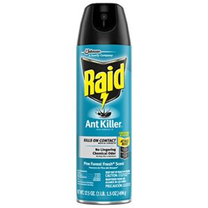 raid ant killer spray pine forest, 17.5 oz (pack - 1)