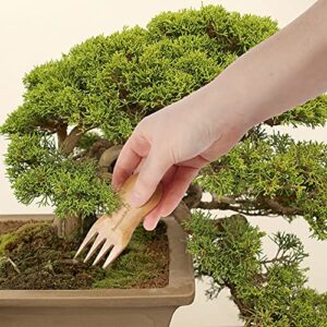 BambooMN Bonsai Tree Pruning Trimming Starter Tool Kit - Leaf Trimmers, and Bamboo Rake - 1 Set