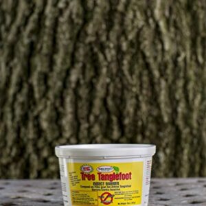 Tanglefoot Insect Barrier (Tub), 15 oz.