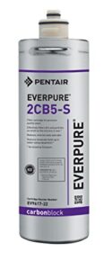 everpure replacement ev9617-22 2cb5-s filter cartridge, 1 count (pack of 1), gray