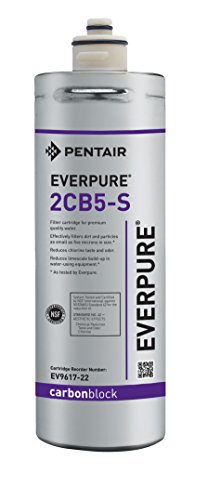 Everpure Replacement EV9617-22 2CB5-S Filter Cartridge, 1 Count (Pack of 1), Gray