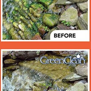 BioSafe Systems 3002-8 GreenClean Granular Algaecide String Algae Control for Koi Ponds, Fountains, Waterfalls, Water Features on Contact, 8 lbs, EPA Registered