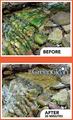 BioSafe Systems 3002-8 GreenClean Granular Algaecide String Algae Control for Koi Ponds, Fountains, Waterfalls, Water Features on Contact, 8 lbs, EPA Registered