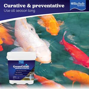 BioSafe Systems 3002-8 GreenClean Granular Algaecide String Algae Control for Koi Ponds, Fountains, Waterfalls, Water Features on Contact, 8 lbs, EPA Registered