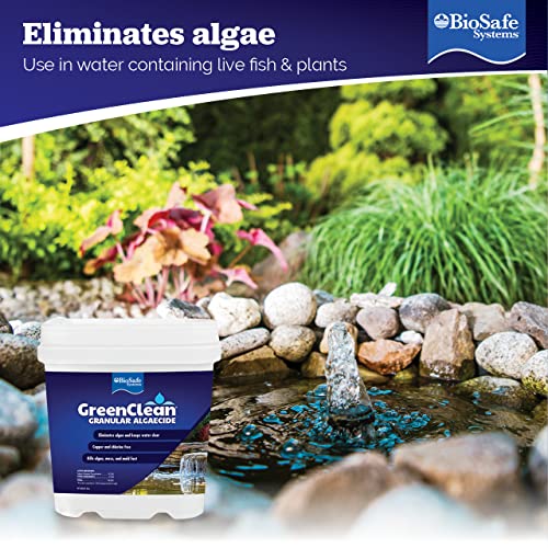 BioSafe Systems 3002-8 GreenClean Granular Algaecide String Algae Control for Koi Ponds, Fountains, Waterfalls, Water Features on Contact, 8 lbs, EPA Registered