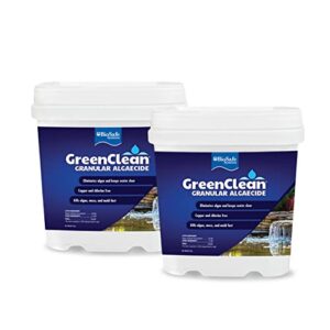 BioSafe Systems 3002-8 GreenClean Granular Algaecide String Algae Control for Koi Ponds, Fountains, Waterfalls, Water Features on Contact, 8 lbs, EPA Registered