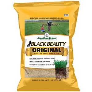 jonathan green 10315 black beauty grass seed mix, 25-pound