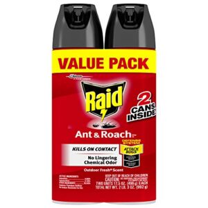 raid 649023 ant & roach killer, red