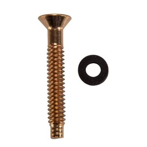 pentair 79104800 brass pilot screw with captive gum washer replacement pool and spa light