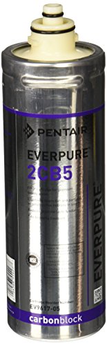 Everpure EV961705