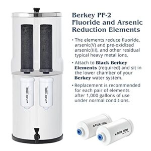 Berkey Light Gravity-Fed Water Filter with 2 Black Berkey Elements and 2 Berkey PF-2 Fluoride and Arsenic Reduction Elements