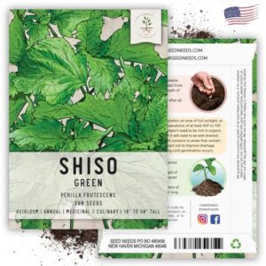 Seed Needs, Green Shiso Seeds - 300 Heirloom Seeds for Planting Perilla frutescens - Non-GMO & Untreated (2 Packs)