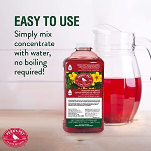 Perky-Pet 238 Red Hummingbird Liquid Nectar 32 Oz Concentrate - Makes Up To 128 Fluid Ounces of Nectar