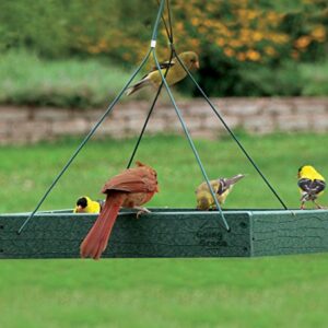 Woodlink Going Green Platform Bird Feeder Model GGPLAT