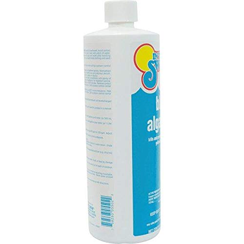 In The Swim Black Algaecide – Eradicates Black Algae in Swimming Pools - Copper Sulfate Pentahydrate - 1 Quart