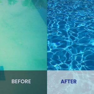 Ahh-Some- Swimming Pool Clarifier Gel | Clears Cloudy & Hazy Water Helps Remove Pipe Build Up of Bio-Contaminants in Plumbing | Environmentally Friendly 6oz.