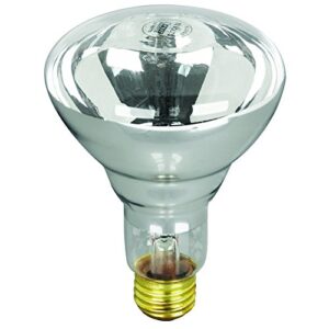 feit electric 100r20/s-12 100 watt 12 volt pool/spa r20 short flood reflector light bulb