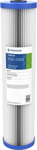 pentair pentek r30-20bb big blue sediment water filter, whole house pleated polyester filter cartridge, 20" x 4.5", 30 micron, white