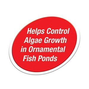 Tetra Pond Block 4 Count, Controls Algae Growth In Ornamental Fish Ponds (16735)