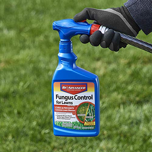 BioAdvanced Fungus Control for Lawns, Ready-to-Spray, 32 oz