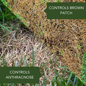 BioAdvanced Fungus Control for Lawns, Ready-to-Spray, 32 oz