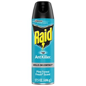 raid ant killer spray pine forest 17.5 ounce (pack of 1)