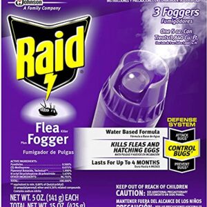 Raid Flea Flogger Plus Killer, Kills Fleas and Hatching Eggs (3 Count (Pack of 3)