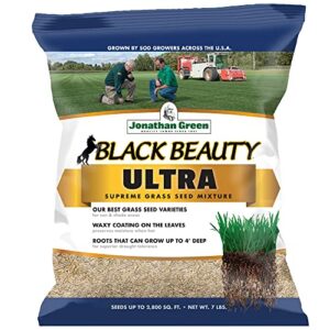 jonathan green (10322) black beauty ultra grass seed - cool season lawn seed (7 lb)