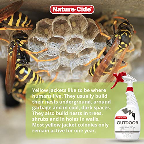 Nature-Cide Outdoor. Insecticide and Repellent. All Natural Pest Repellent, Roach, Spider, Mosquito and Ant Spray to Keep Your Home Safe. No Strong Odor. 32 oz