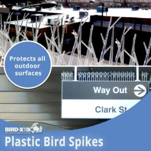 Bird-X Plastic Polycarbonate Bird Spikes, Covers 50 feet