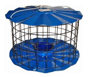 erva bluebird feeder - includes meal worm cup - designed to keep squirrels out - made in the usa