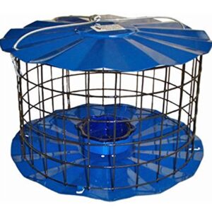 Erva Bluebird Feeder - Includes Meal Worm Cup - Designed to Keep Squirrels Out - Made in The USA