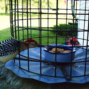 Erva Bluebird Feeder - Includes Meal Worm Cup - Designed to Keep Squirrels Out - Made in The USA