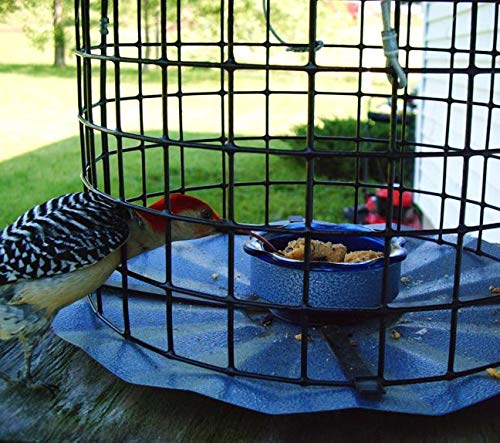 Erva Bluebird Feeder - Includes Meal Worm Cup - Designed to Keep Squirrels Out - Made in The USA