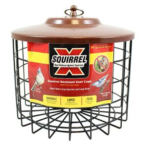 More Birds Squirrel-X Double Suet Feeder, Outdoor Wild Bird Feeder, Cage Bird Feeder, 2 Suet Cake Capacity