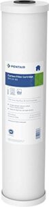 pentair pentek rfc-20bb big blue carbon water filter, 20-inch, whole house heavy duty radial flow carbon replacement cartridge with granular activated carbon (gac) filter, 20" x 4.5", 25 micron