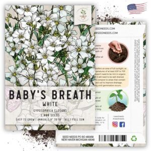 Seed Needs, White Baby's Breath Seeds - 2,000 Heirloom Seeds for Planting Gyposophila elegans (2 Packs)