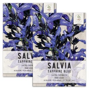 seed needs, sapphire blue sage seeds - 800 heirloom seeds for planting salvia farinacea - open pollinated, attracts pollinators (2 packs)
