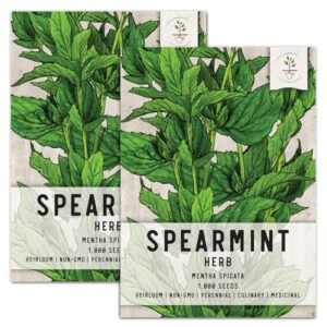 seed needs, spearmint herb seeds for planting (mentha spicata) heirloom, non-gmo & untreated