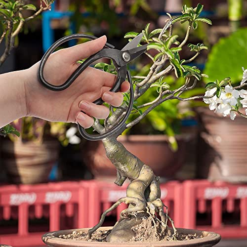 BambooMN Bonsai Basics Set - 7.2" Trimming Shears & 7" Heavy Duty Butterfly Shear - 1 Set