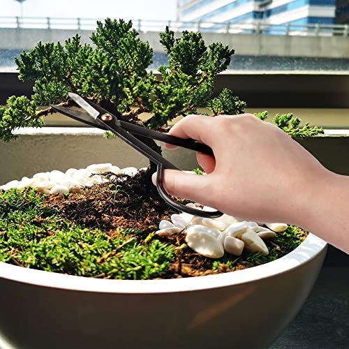 BambooMN Bonsai Basics Set - 7.2" Trimming Shears & 7" Heavy Duty Butterfly Shear - 1 Set