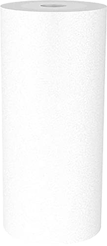 Pentair OMNIFilter RS16 Sediment Water Filter, 10-Inch, Whole House Heavy Duty Spun Polypropylene Replacement Cartridge, 10" x 4.5", White